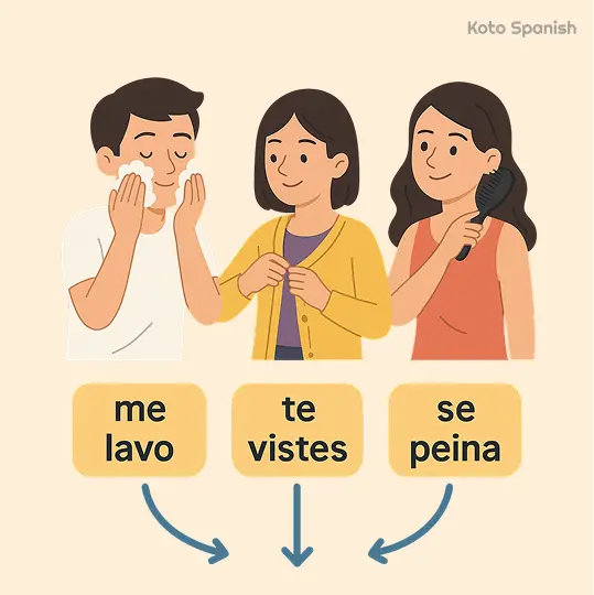 Reflexive and possessive pronouns 1