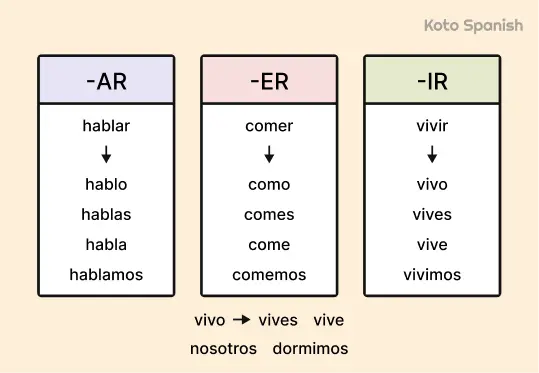 Regular Present Tense Conjugation 1